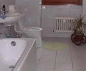 https://pension-regine-braun.find-berlin-hotels.com